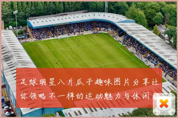 足球明星八斤瓜子趣味图片分享让你领略不一样的运动魅力与休闲乐趣